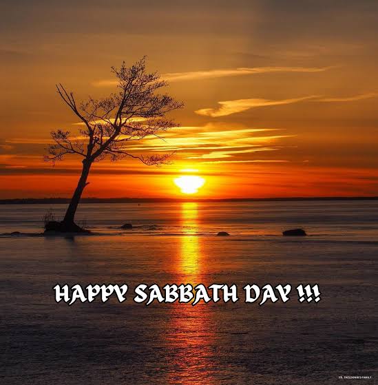 Betpawa booking code